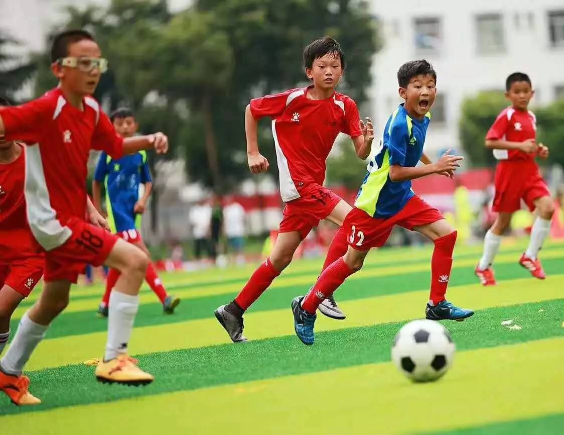 俱乐部青训部发布了《浙江职业足球俱乐部青训大纲》